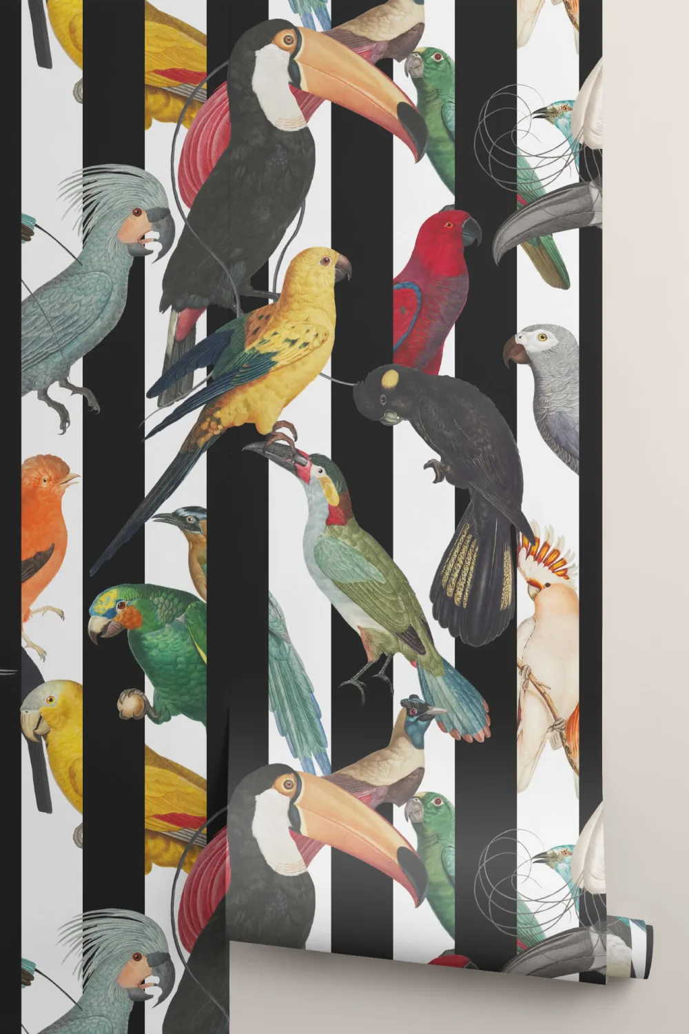 Colorful Tropical Birds & Stripes Pattern Wallpaper Mural
