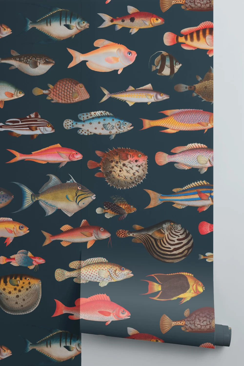 Colorful Fish Curiosities Pattern Wallpaper Mural