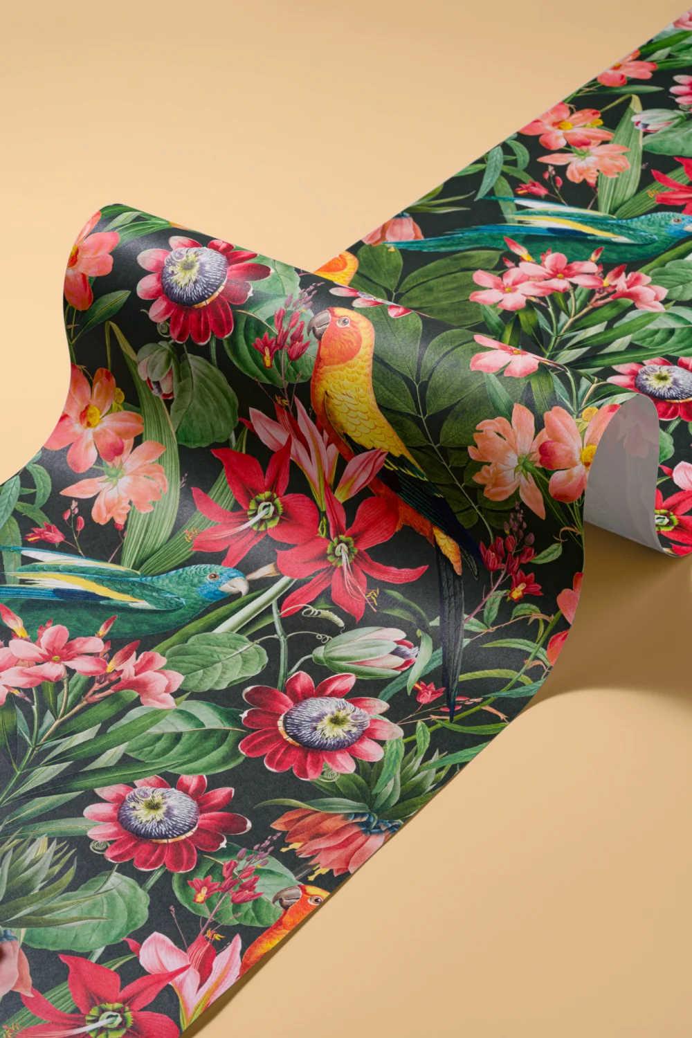 Multicolor Tropical Leaves, Florals and Parrots Wallpaper