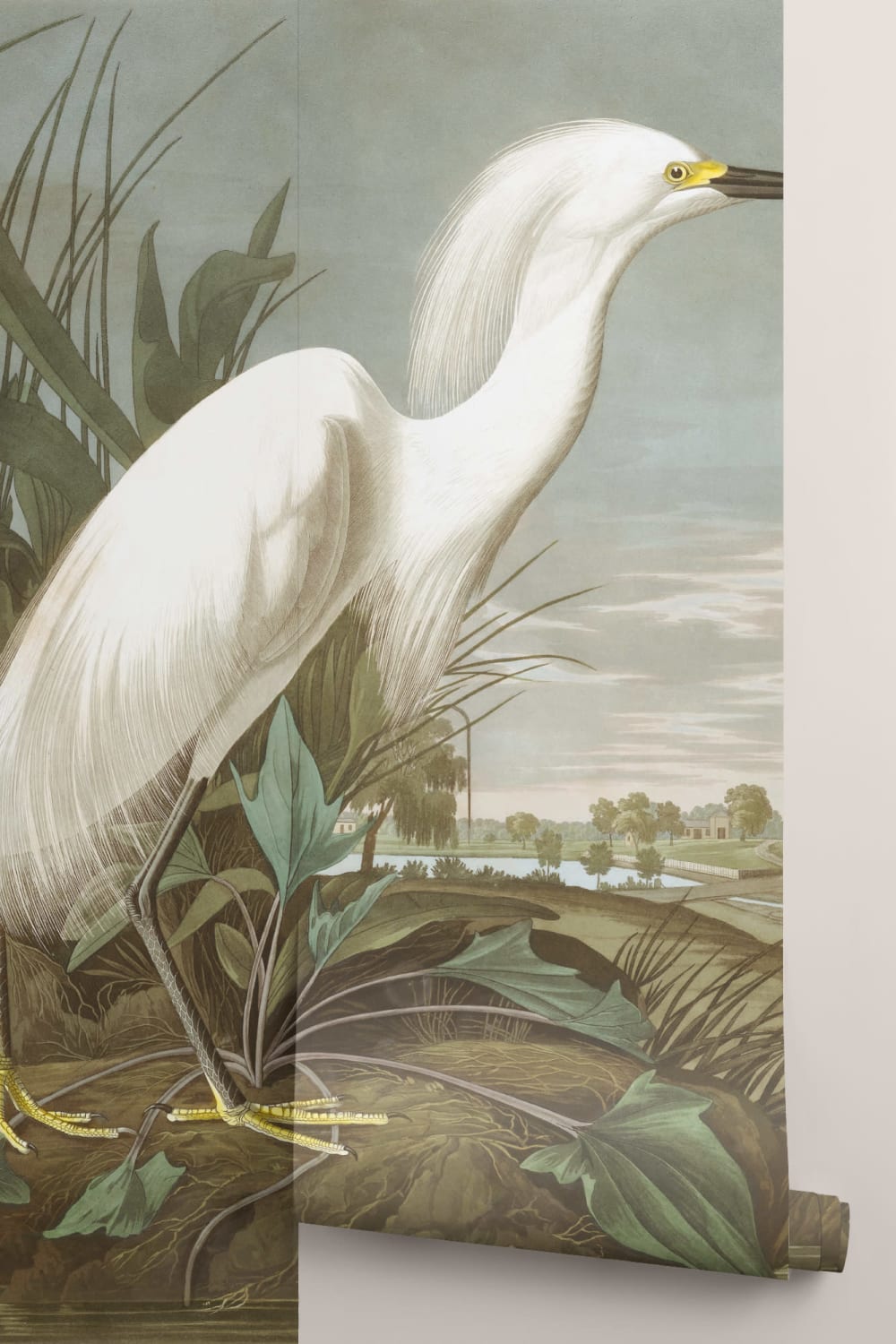 Snowy Heron Wallpaper Mural