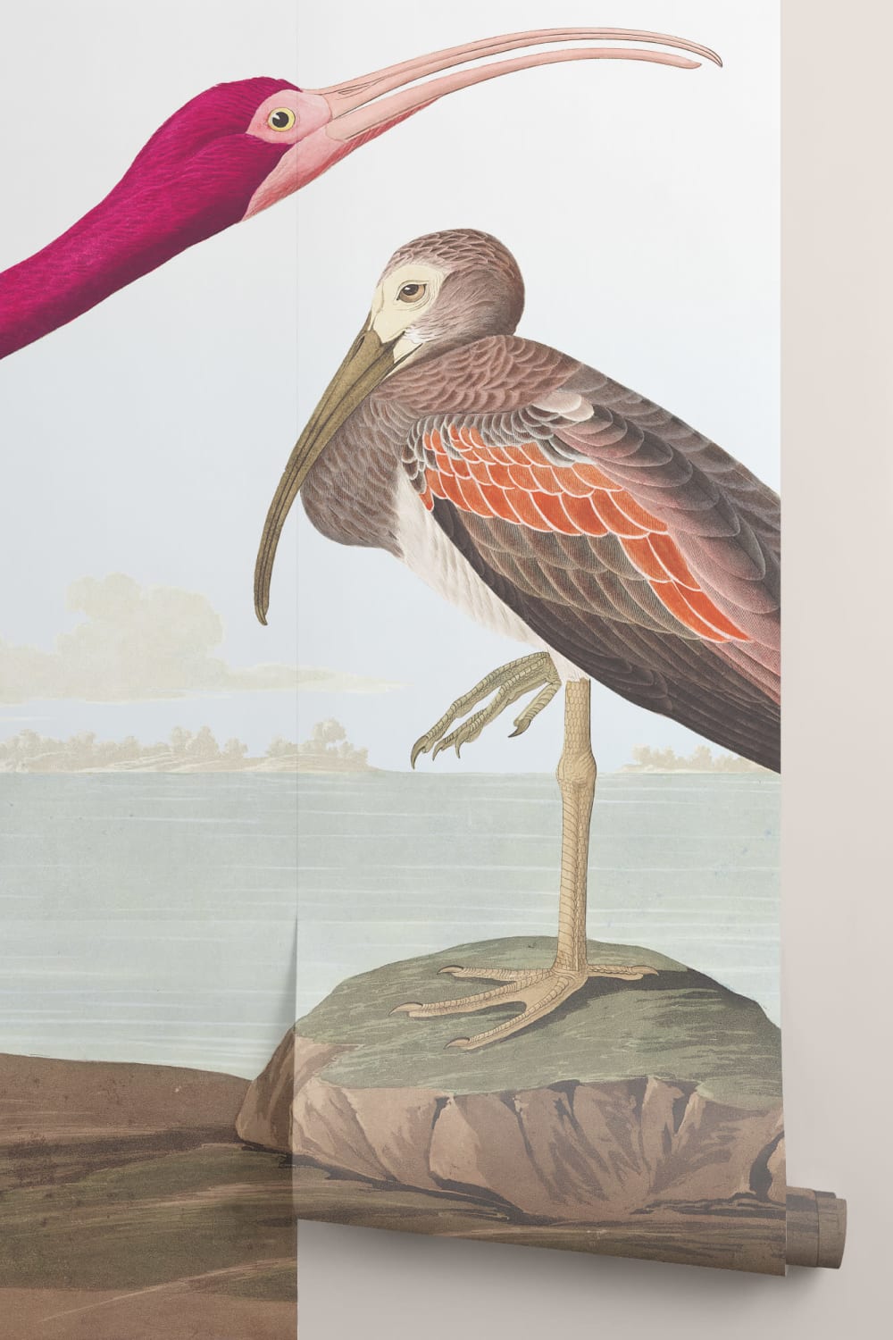 Scarlet Ibis Wallpaper Mural