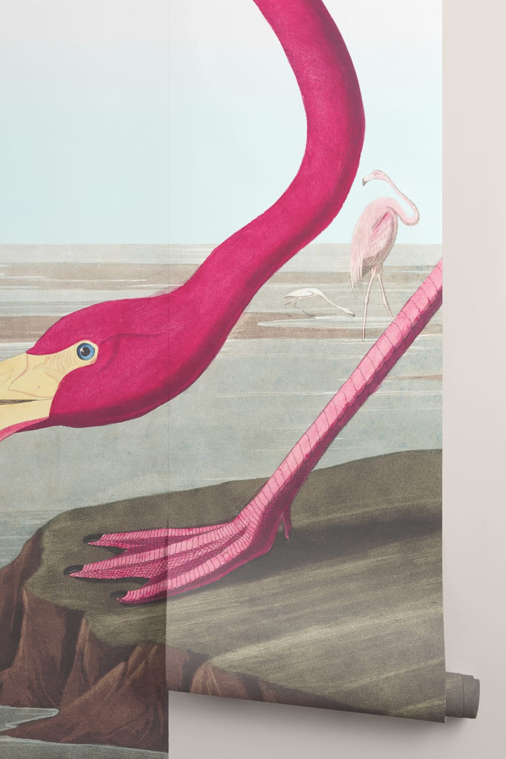 Pink Flamingo by J.J. Audubon Wallpaper Mural