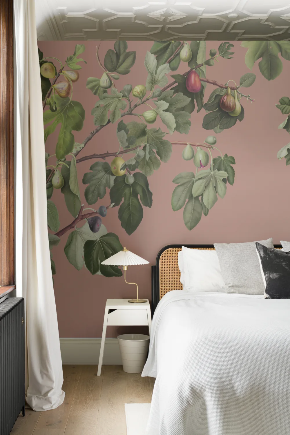 Vintage Fig Plant Botanical Illustration Wall Mural on Pink Background