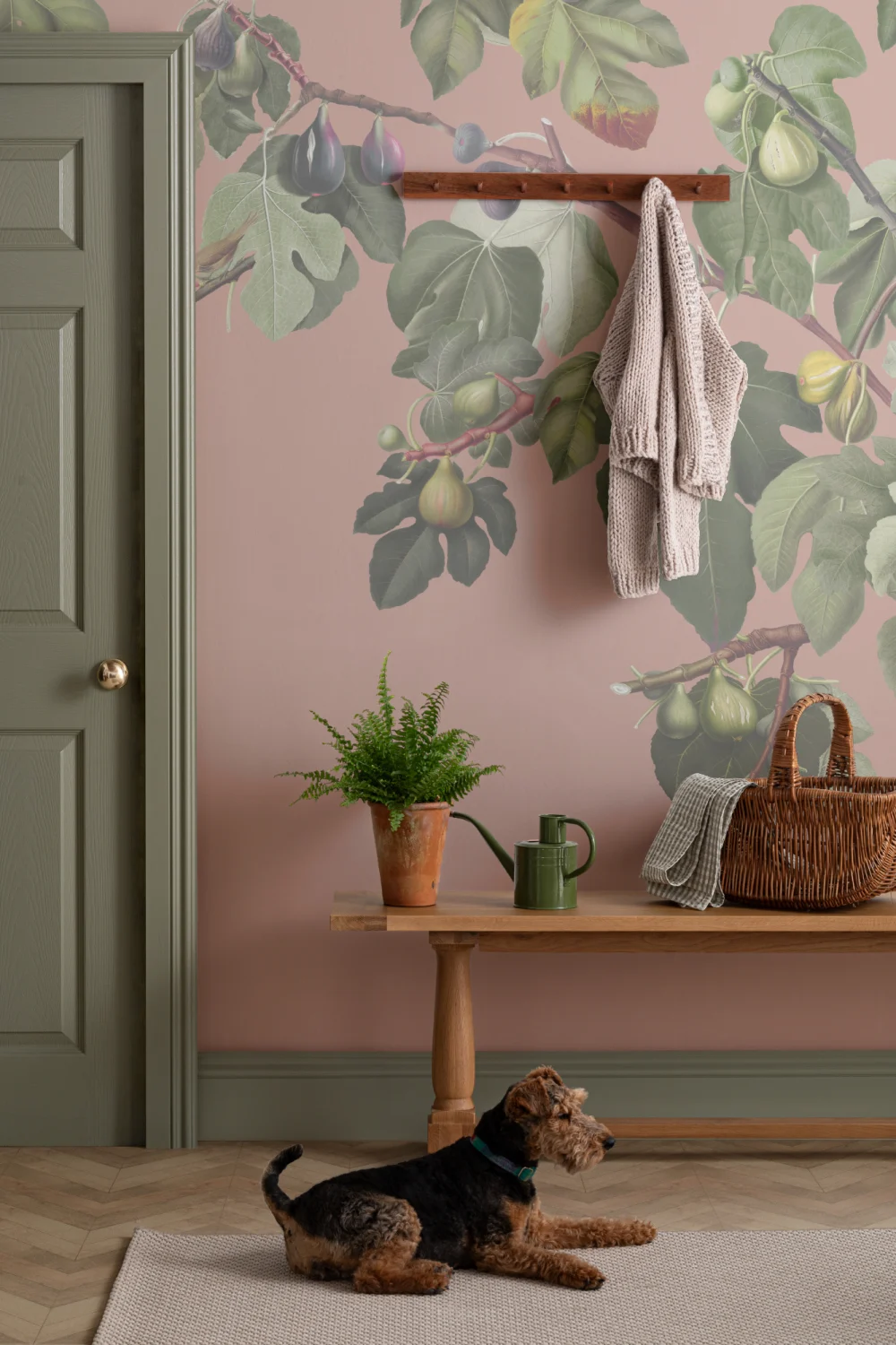 Vintage Fig Plant Botanical Illustration Wall Mural on Pink Background