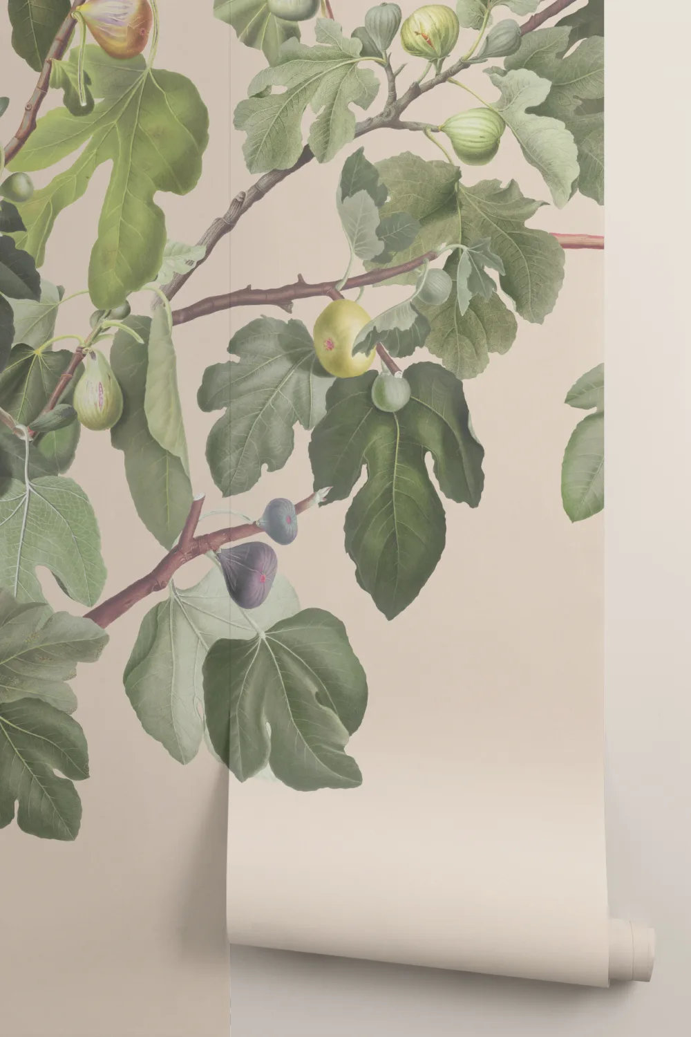 Vintage Fig Plant Botanical Illustration Wall Mural on Neutral Beige Background