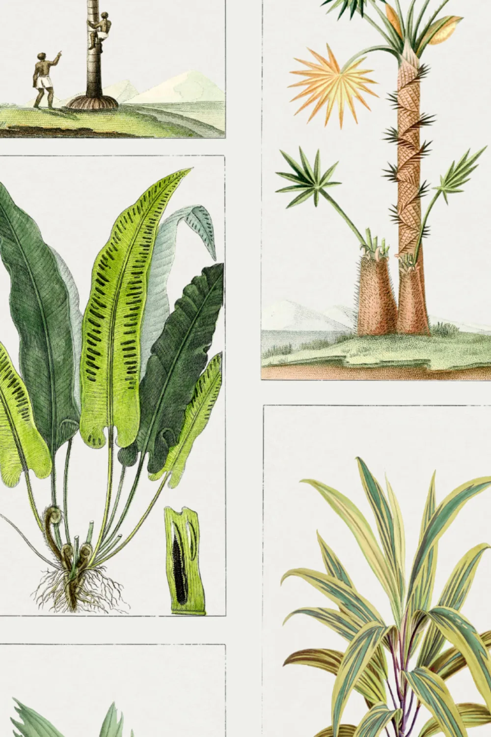 Botaniske planter Flisemønster Fototapet