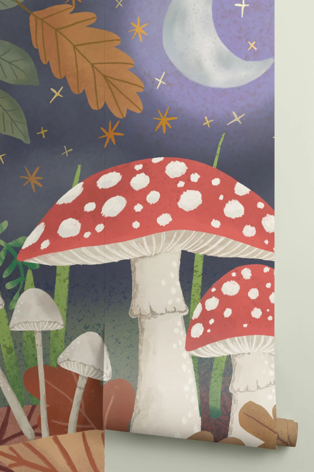 Panoramique champignon et nuit d’automne
