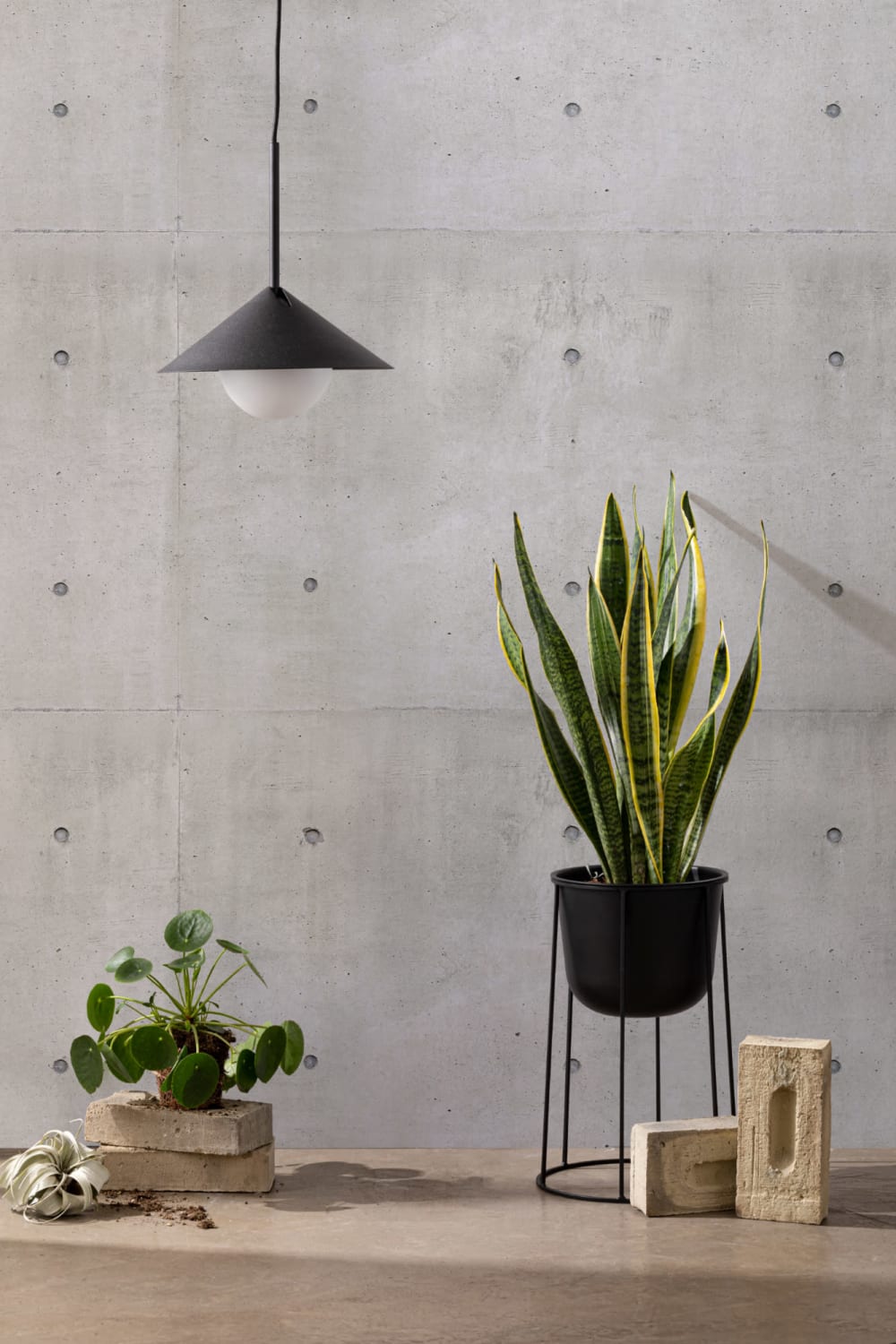 Moderne Betonblok Muurschildering