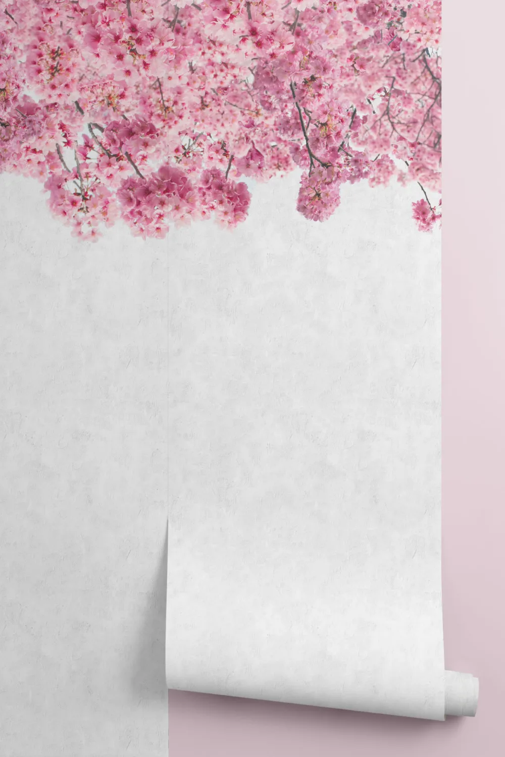Mural de Papel de Parede Rosa Sakura Cherry Blossom