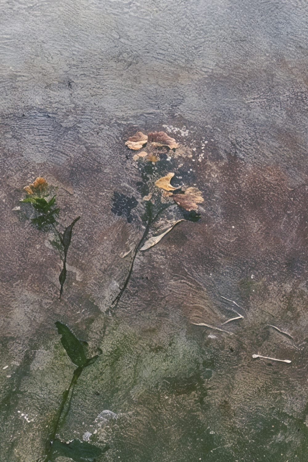 Azul Tranquil Meadow Atmospheric Nature Art Mural