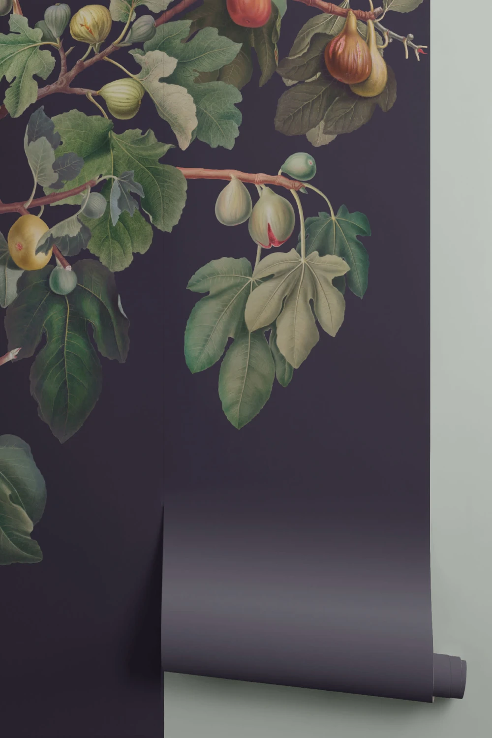 Vintage Dark Botanical Fig Tree Wallpaper Mural