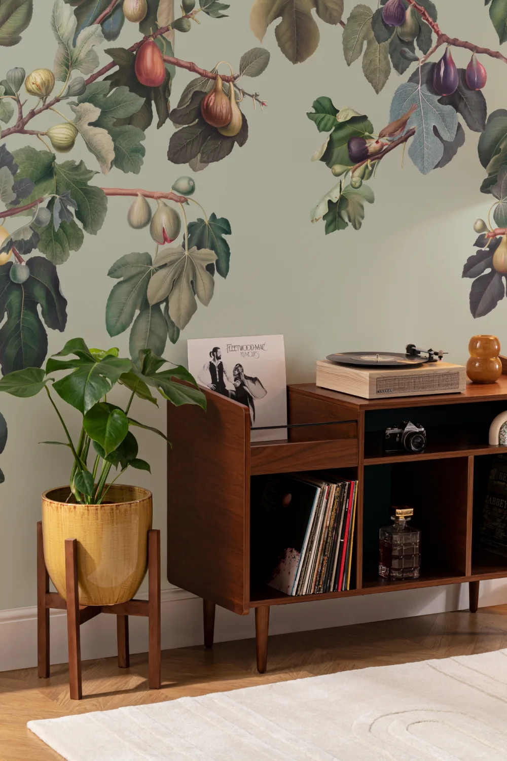 Vintage Green Botanical Fig Tree Wallpaper Mural