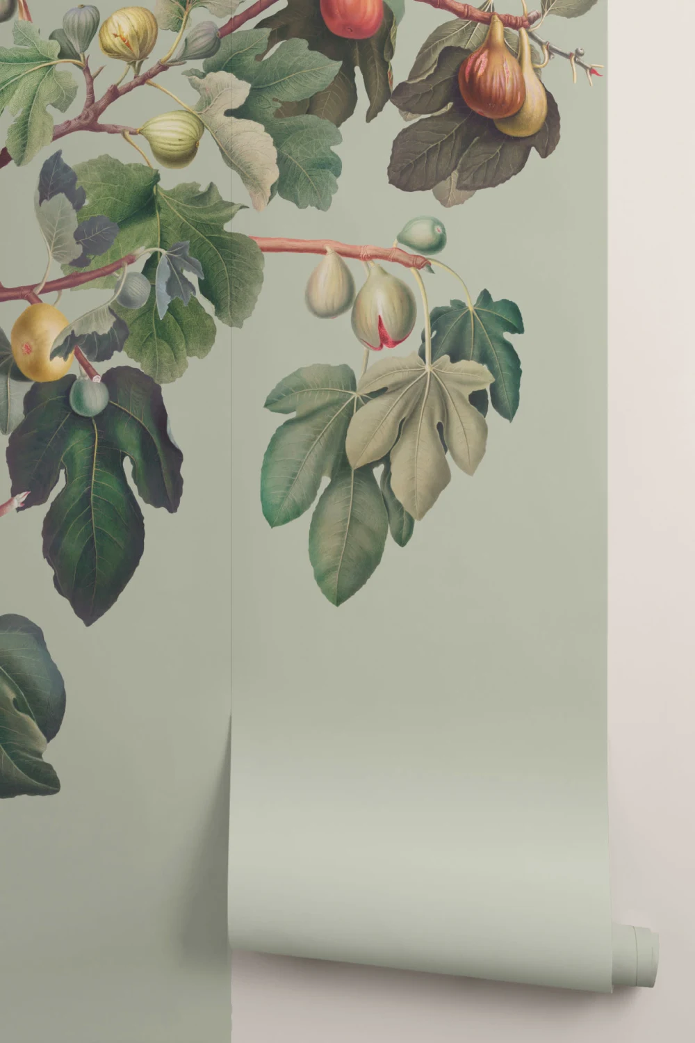 Vintage Green Botanical Fig Tree Wallpaper Mural