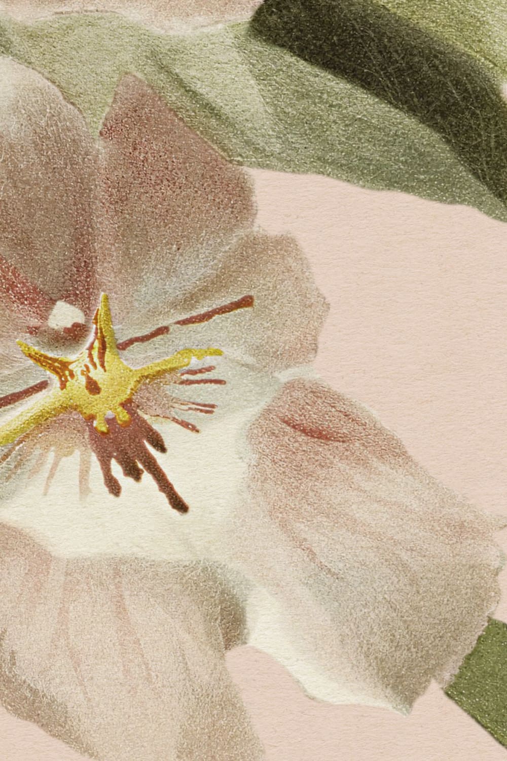 Soft Pastel Floral Velvet Bloom Mural For Elegant Spaces