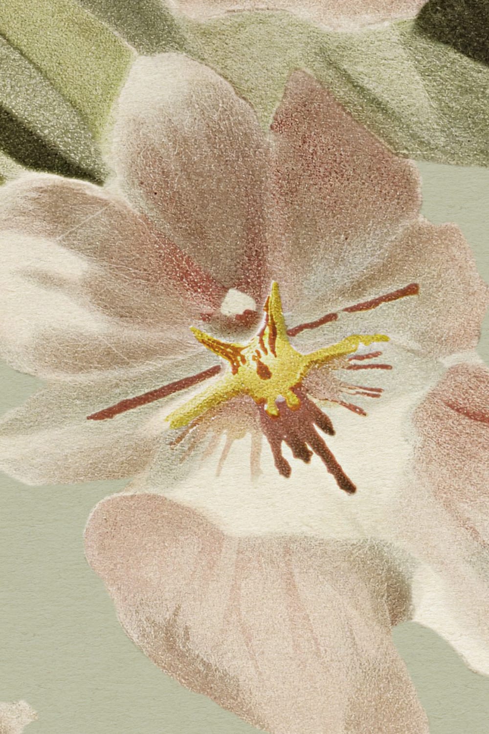 Orchid Elegance