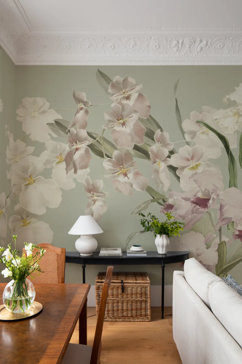 Orchid Elegance