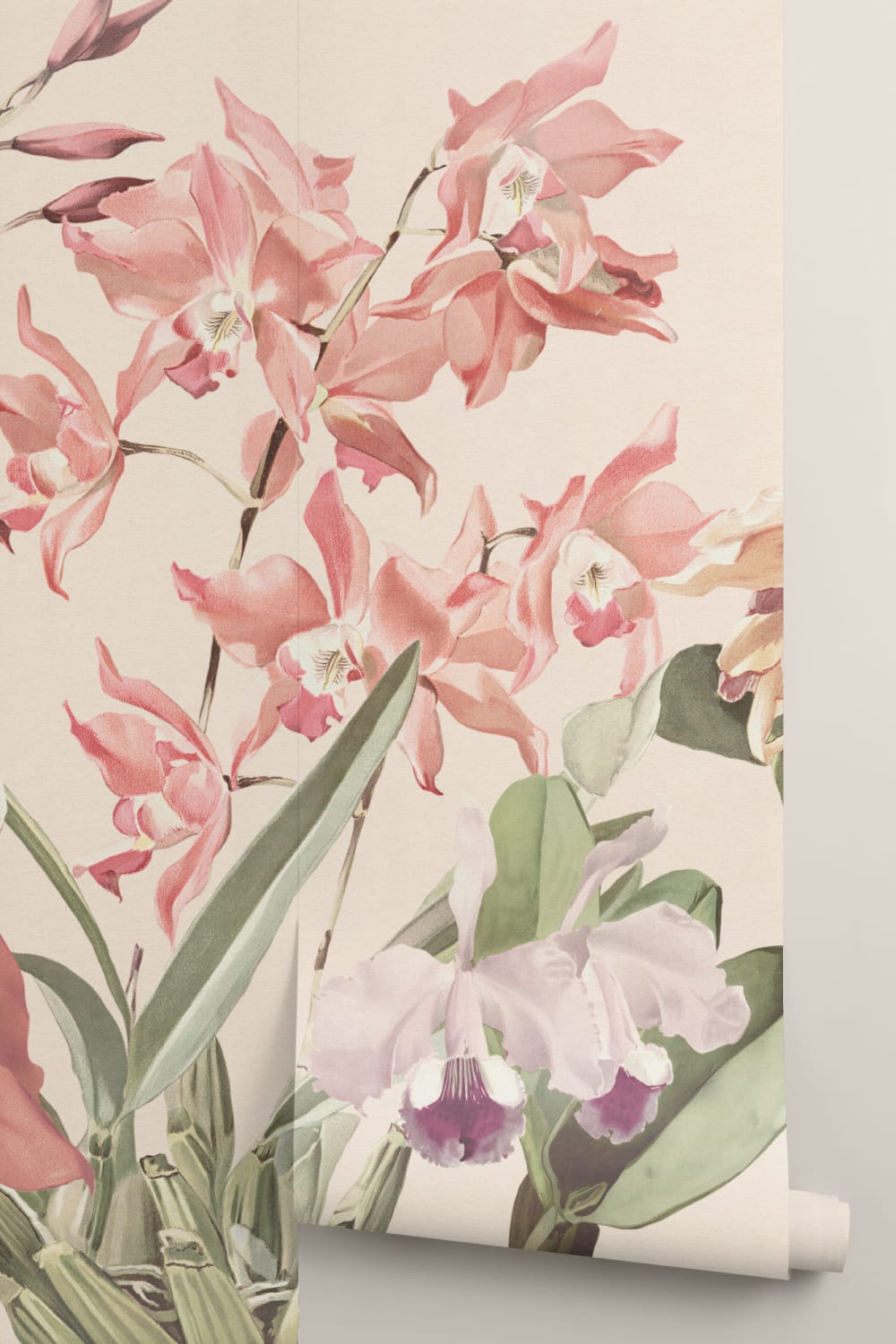 Orchideen-Oase