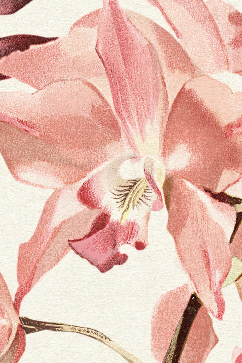 Neutral Botanical Elegance Floral Garden Mural