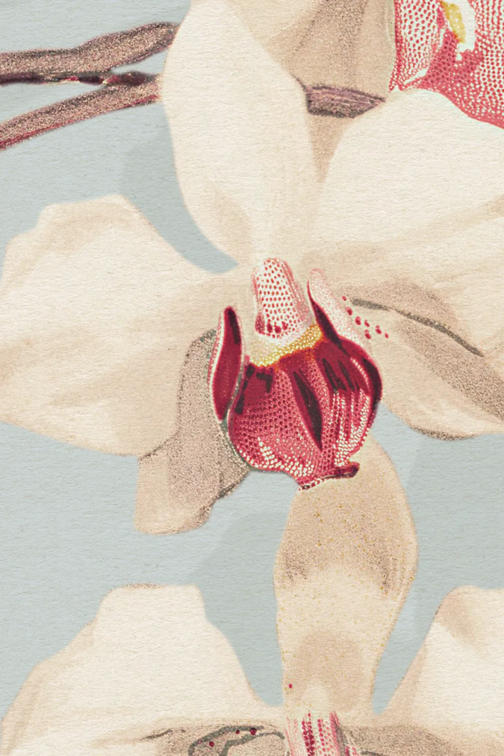Blue Botanical Orchid Elegance Floral Nature Mural