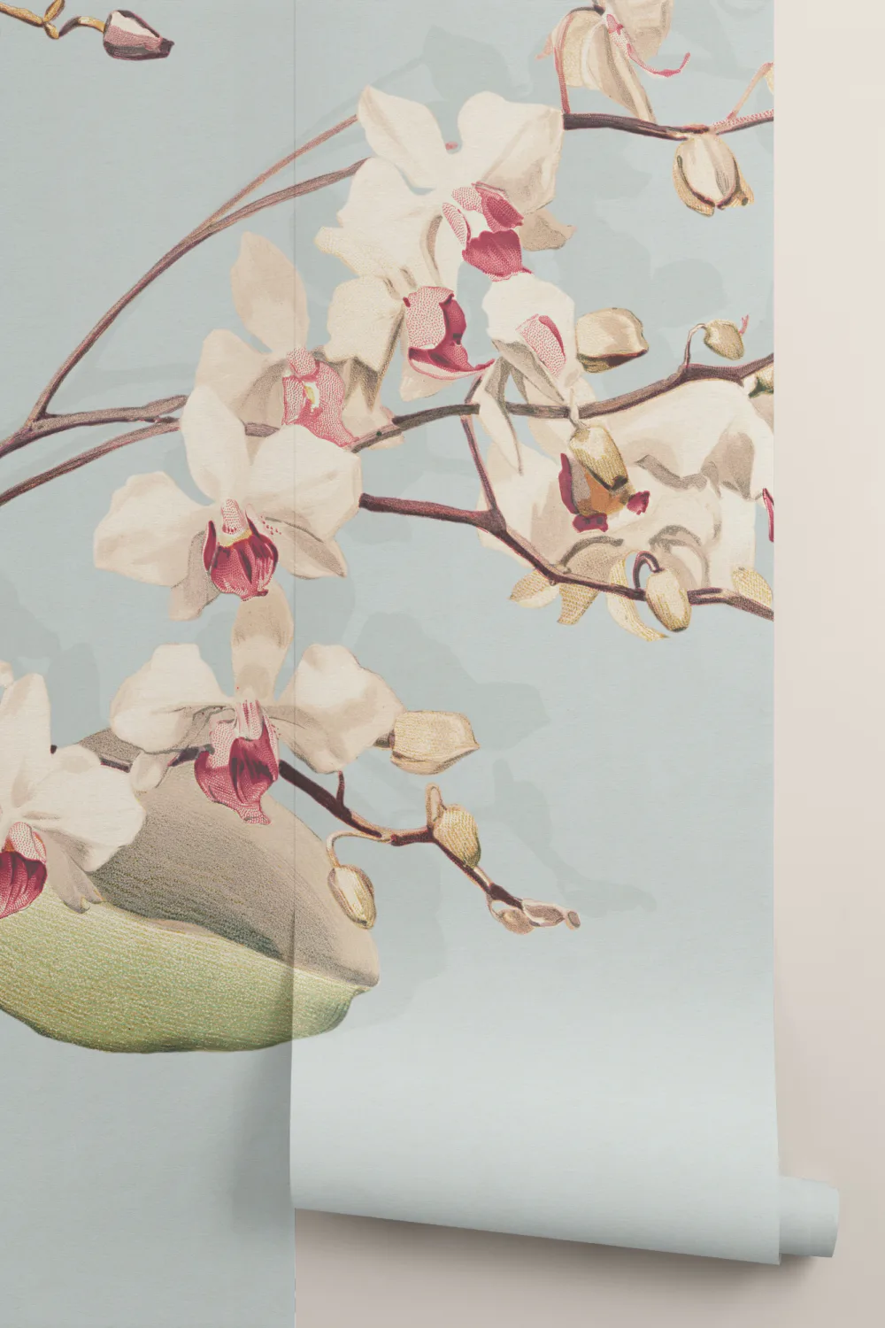 Blue Botanical Orchid Elegance Floral Nature Mural