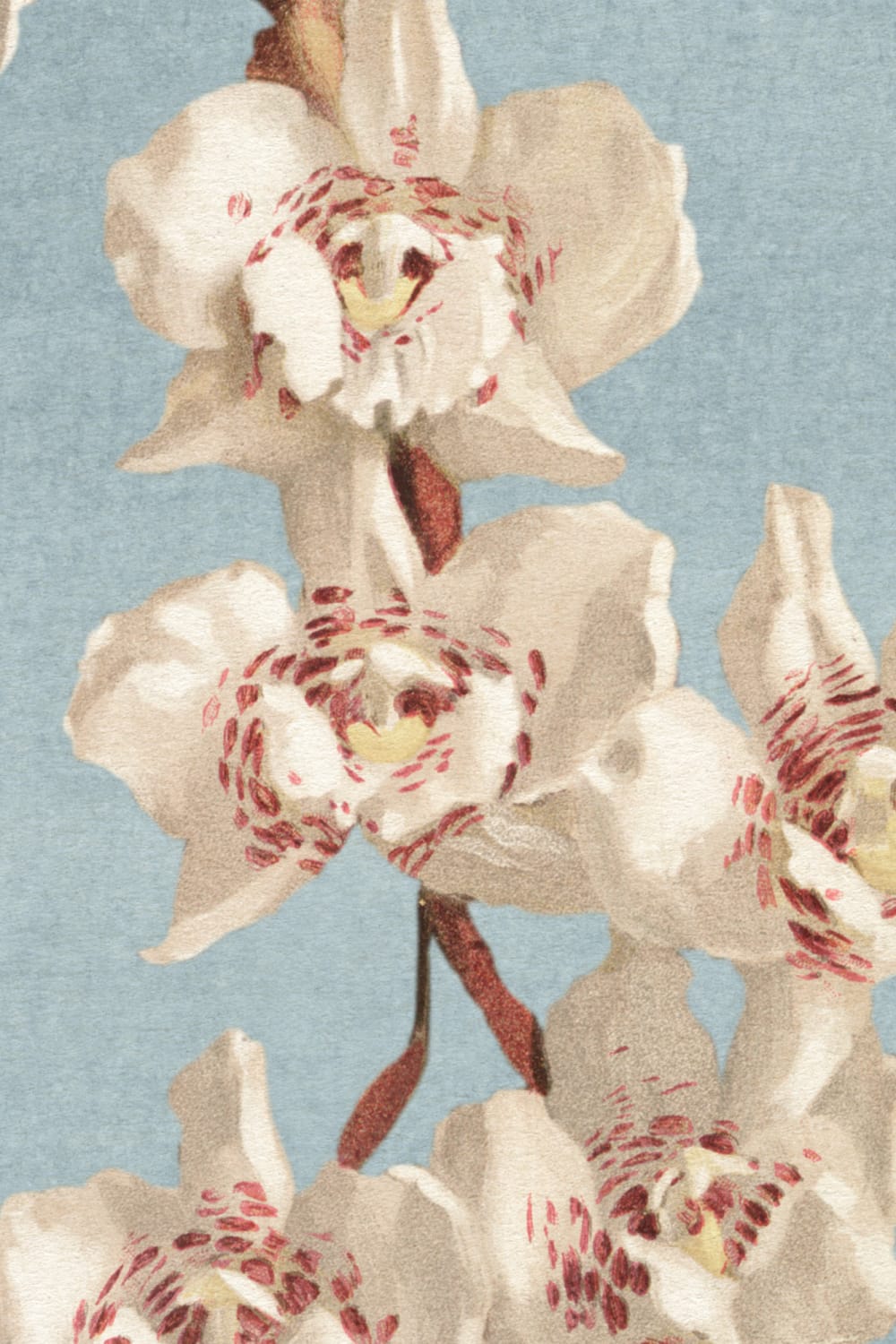 Multicolor Floral Elegance Mural for a Serene Atmosphere