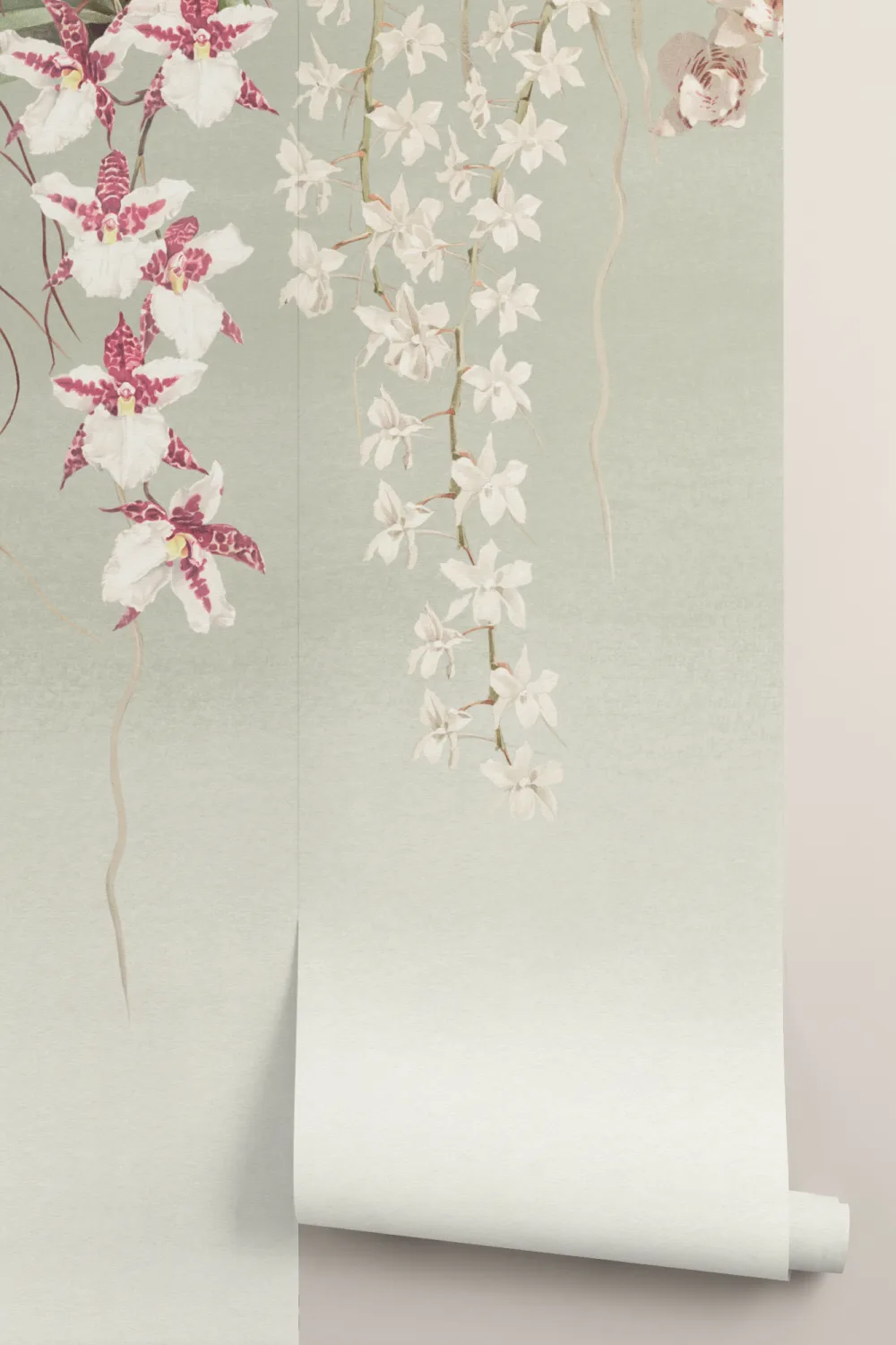 Green Orchid Botanical Floral Multicolor Wall Mural