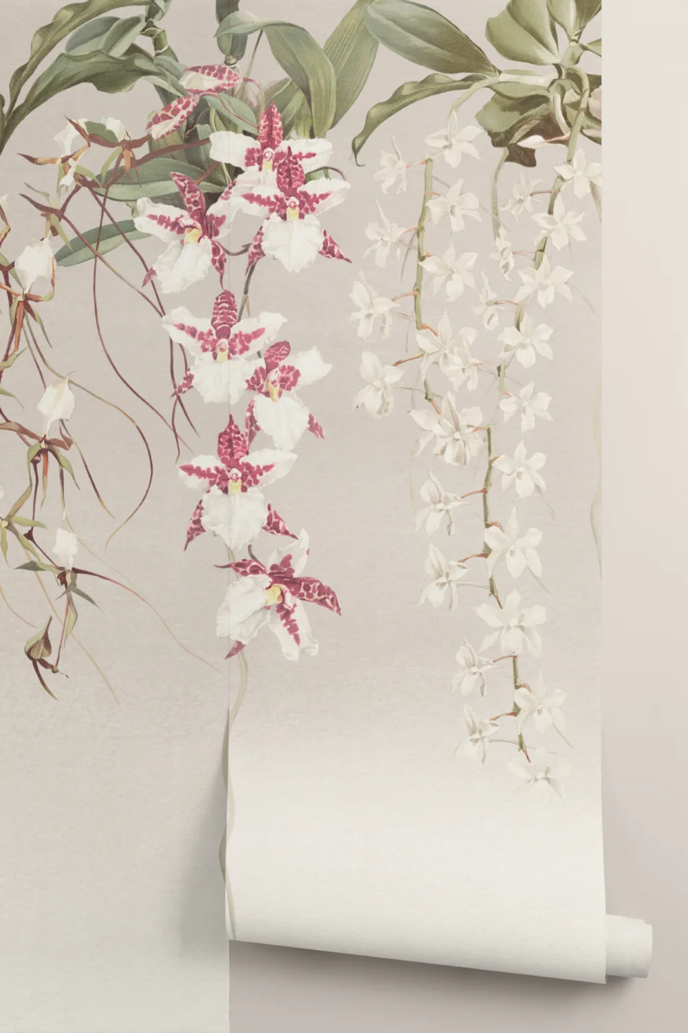 Eleganckie orchidee