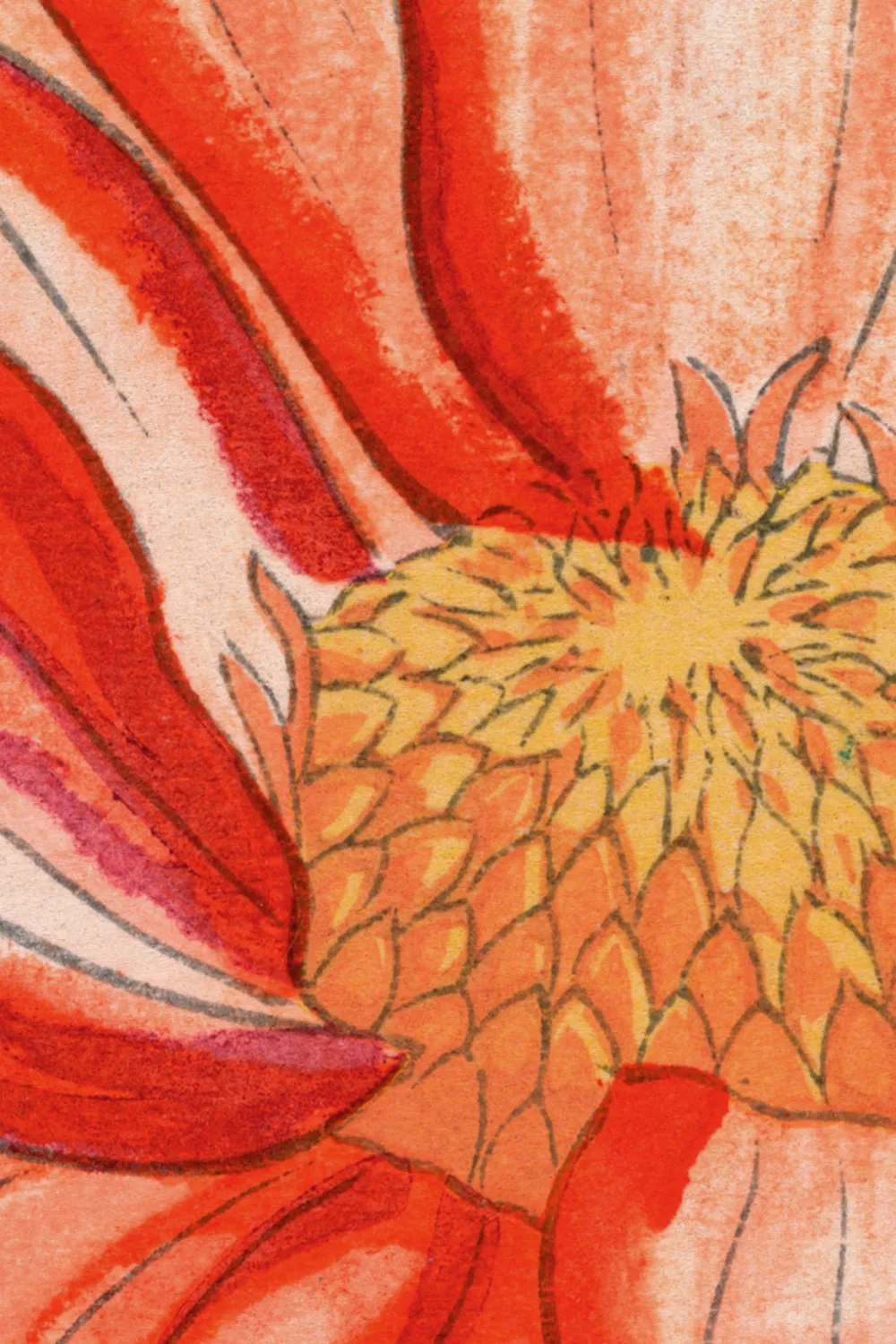 Dahlia Japanse aquarel muurschildering