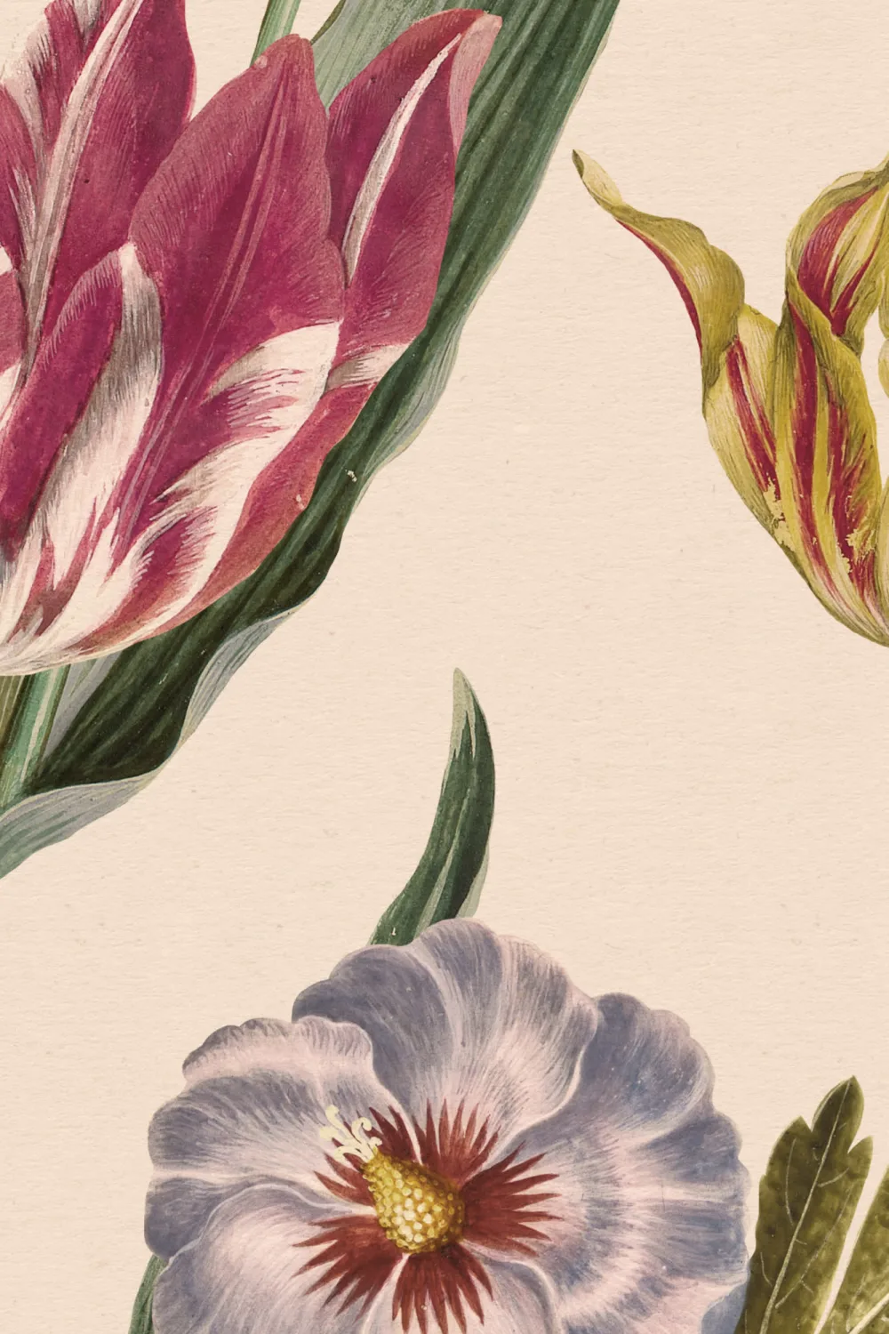 Mural ilustrado de flores silvestres en beige