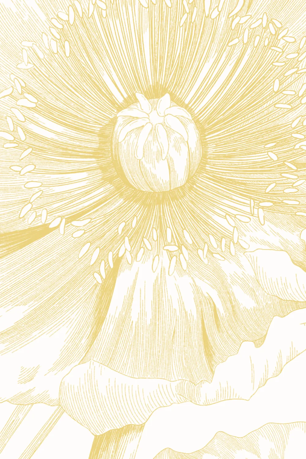 Yellow Illustrated Floral Bouquet Mural