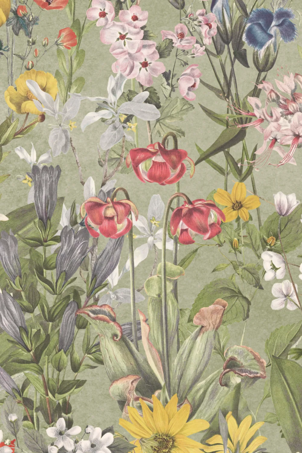Grüne Ombre Wildblumen und Schmetterlinge Fototapete