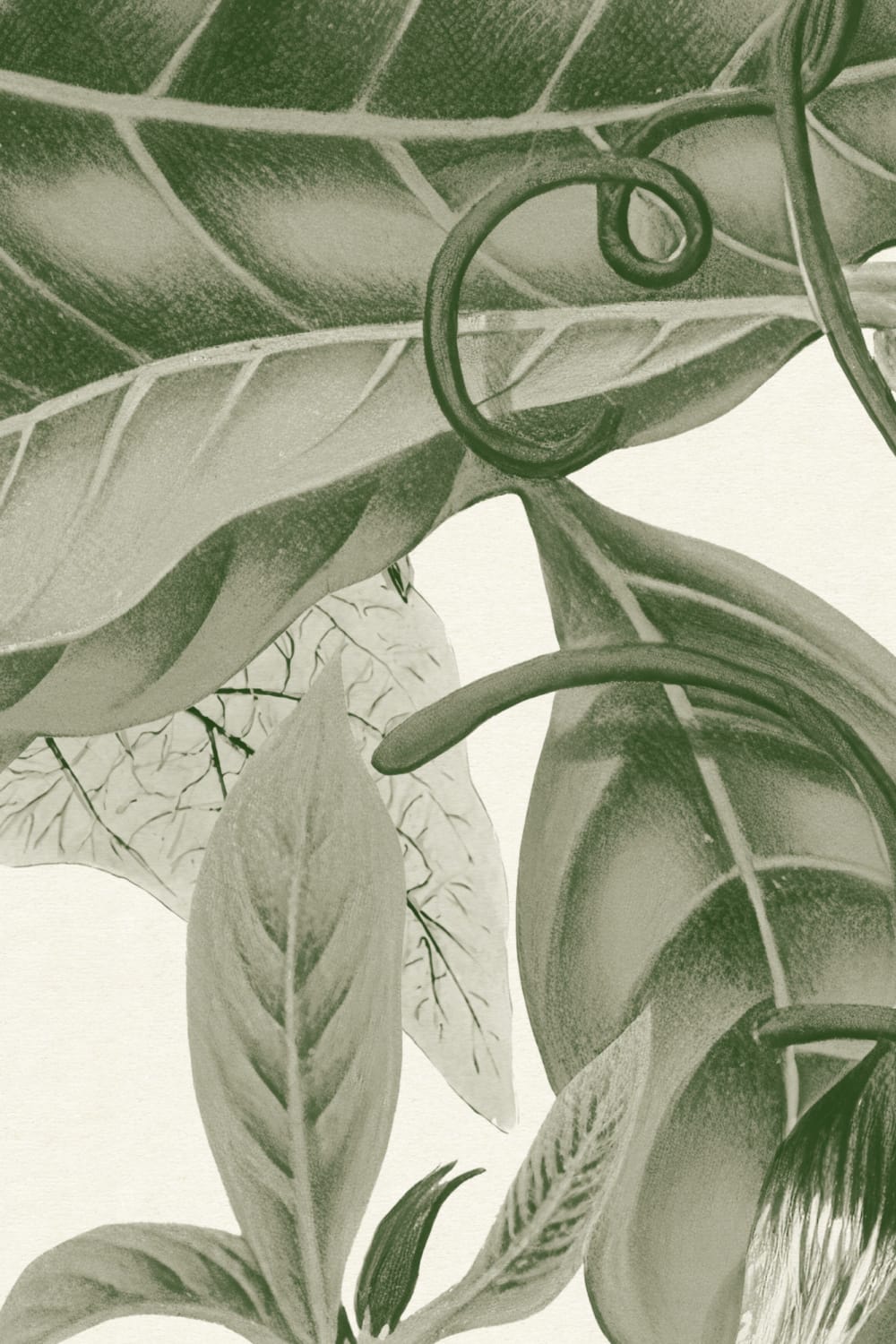 Lush Vintage Botanical Wall Mural in Green with Detailed Tropical Plant Illustrations