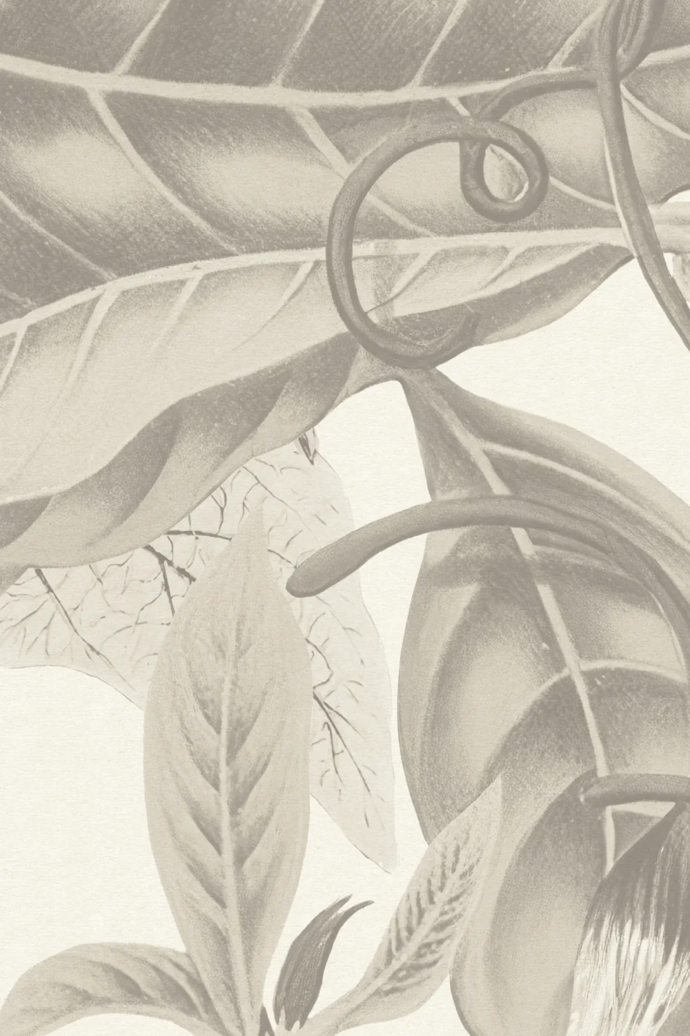 Üppige botanische Fototapete in Grau mit tropischen Blumen und blattartigen Ranken