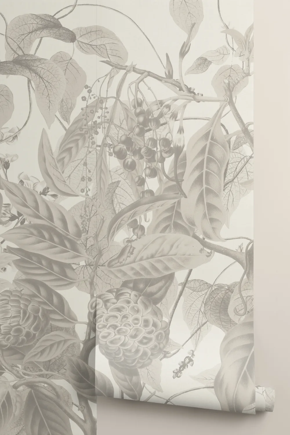 Üppige botanische Fototapete in Grau mit tropischen Blumen und blattartigen Ranken