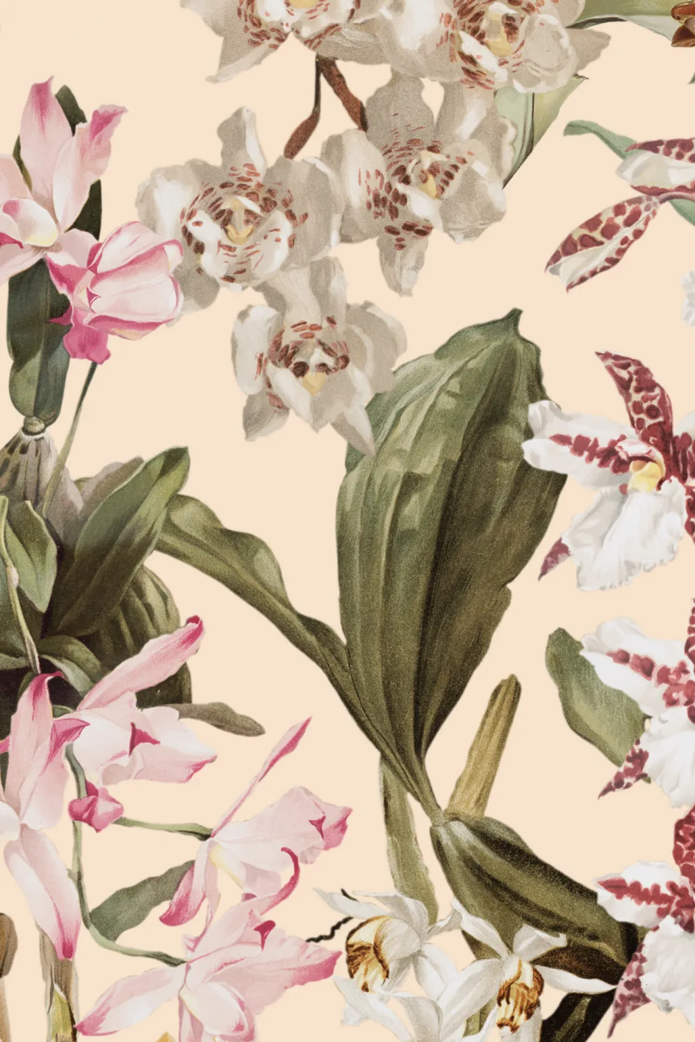 Beige botanisk elegance blomster-fototapet til rolige rum