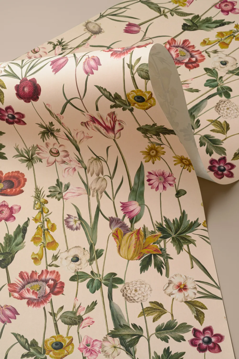 Beige illustrerad vildblomma tapet