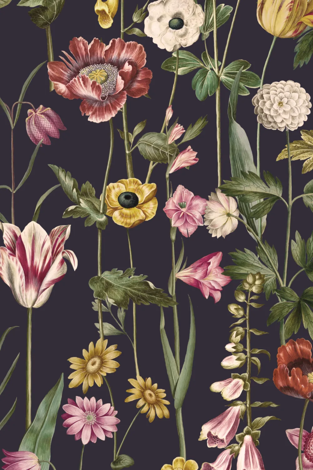 Dark Illustrated Wildflower Wallpaper