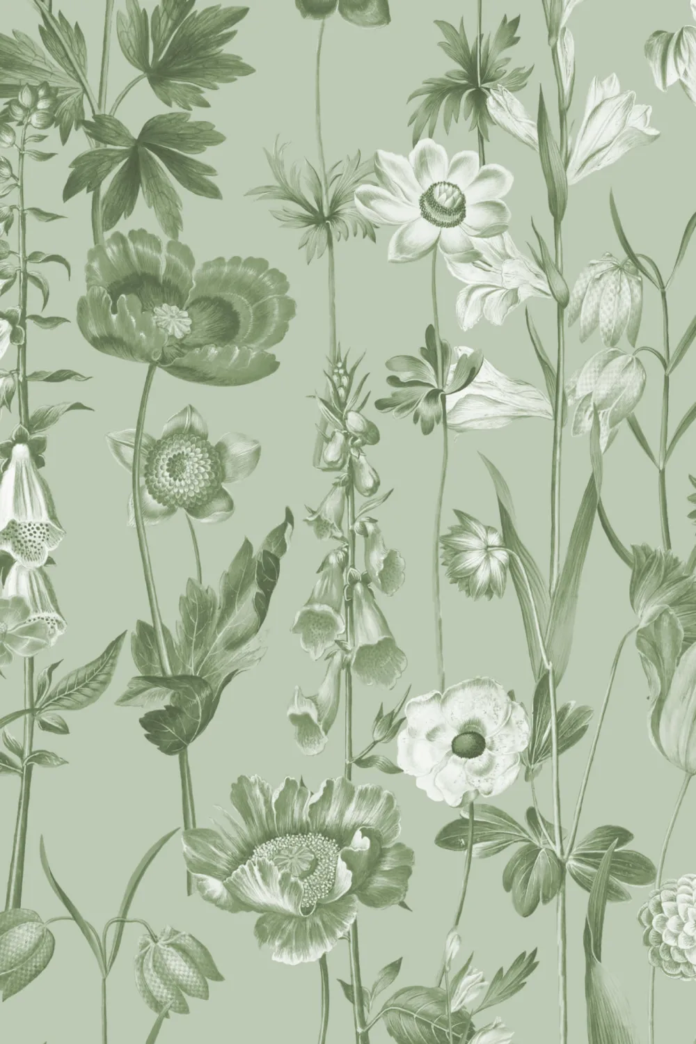 Green Illustrated Wildflower Wallpaper