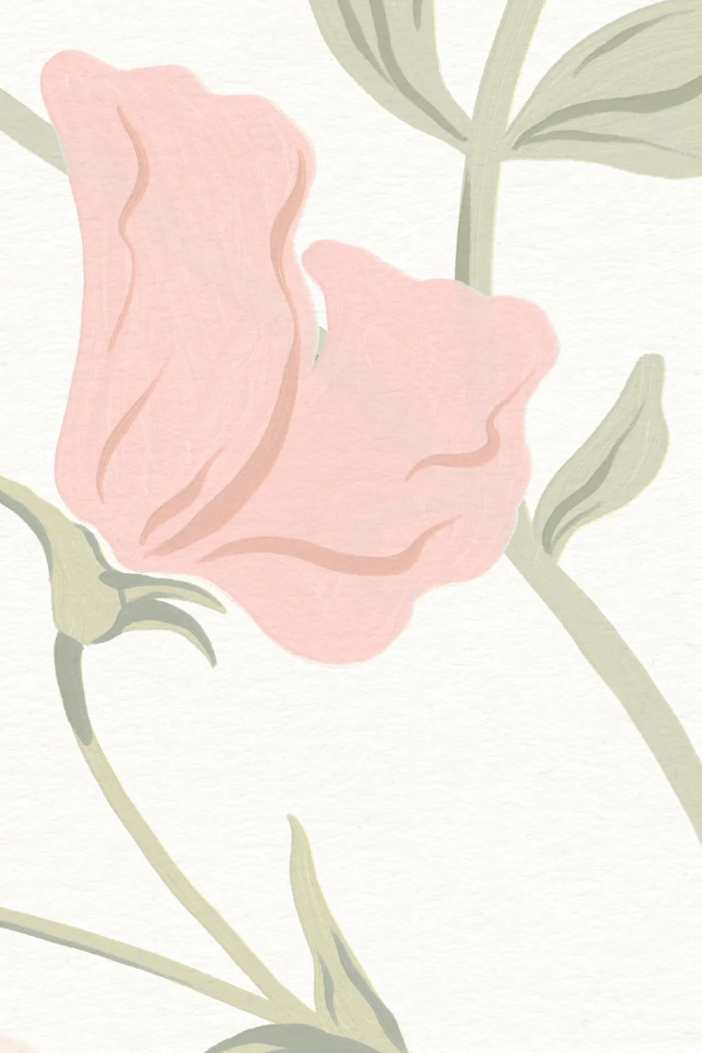 Pink Sweet Pea Floral & Vines Mural