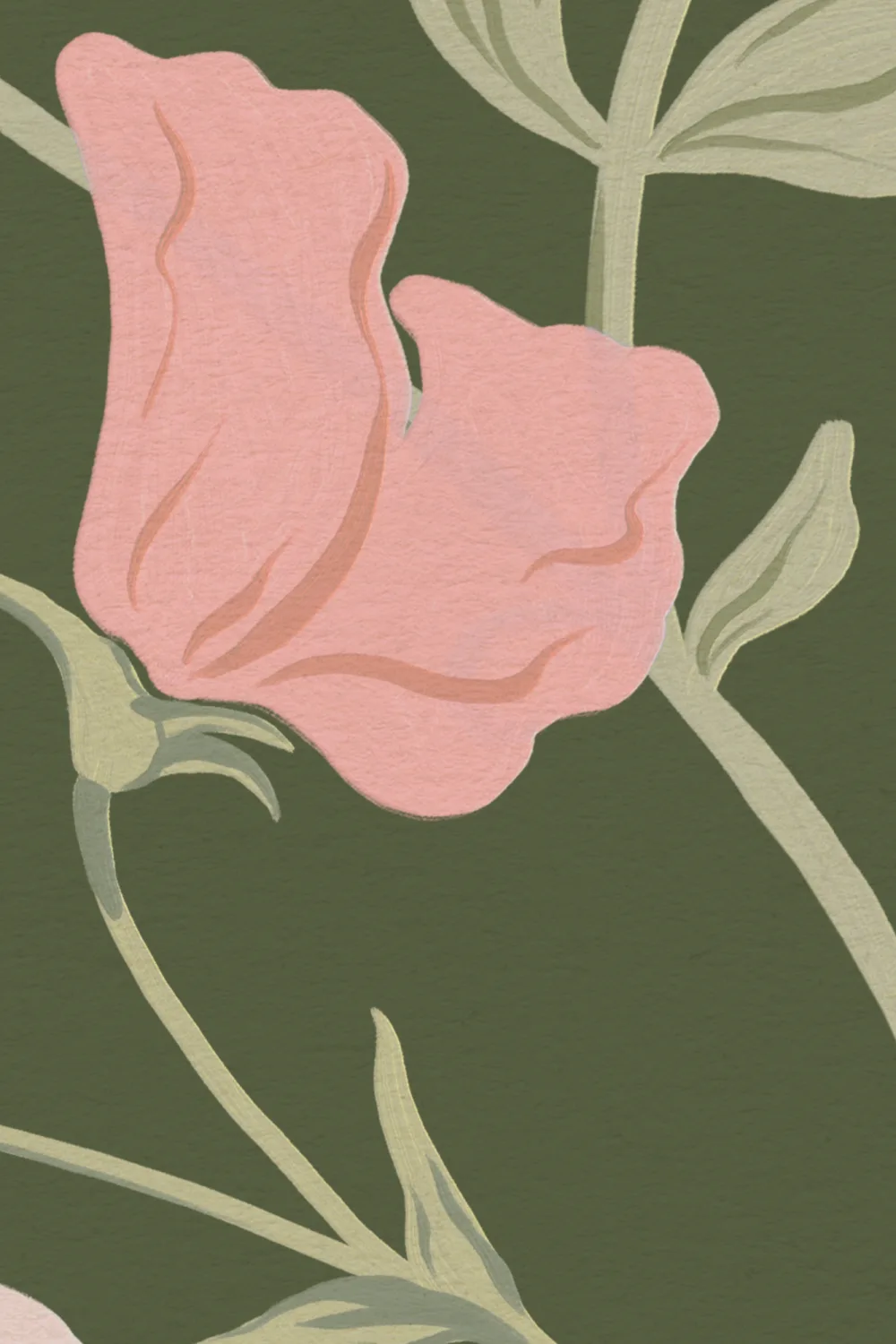 Dark Pink Sweet Pea Floral & Vines Mural