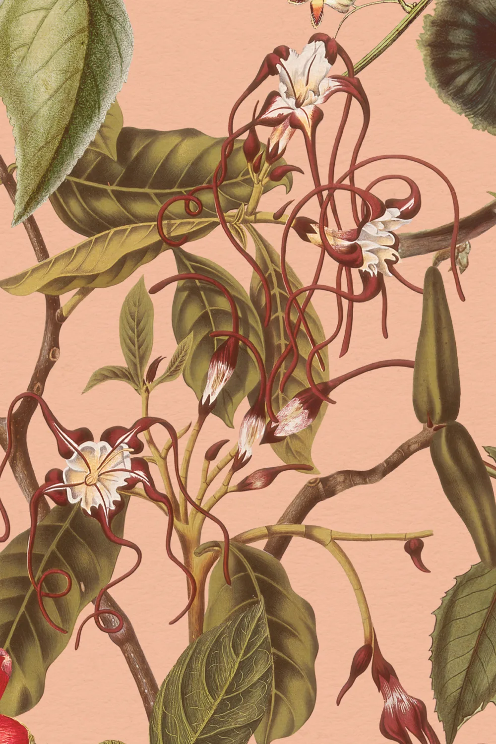 Vintage Botanical Floral Wall Mural in Soft Blush Pink