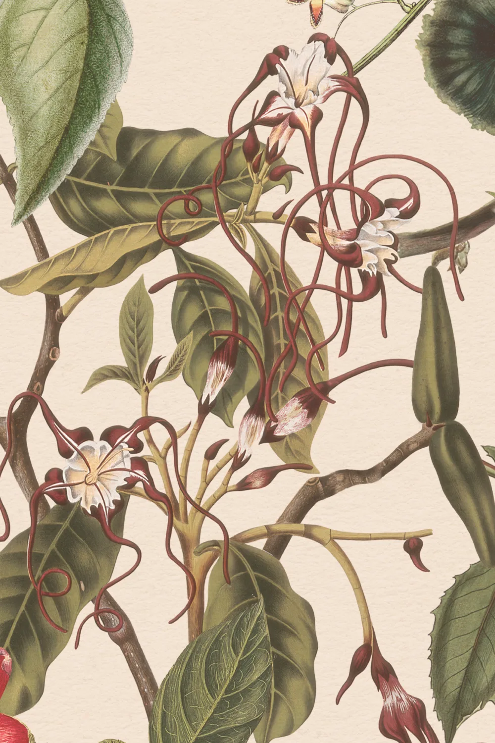 Elegant Botanical Floral Wall Mural in Cream