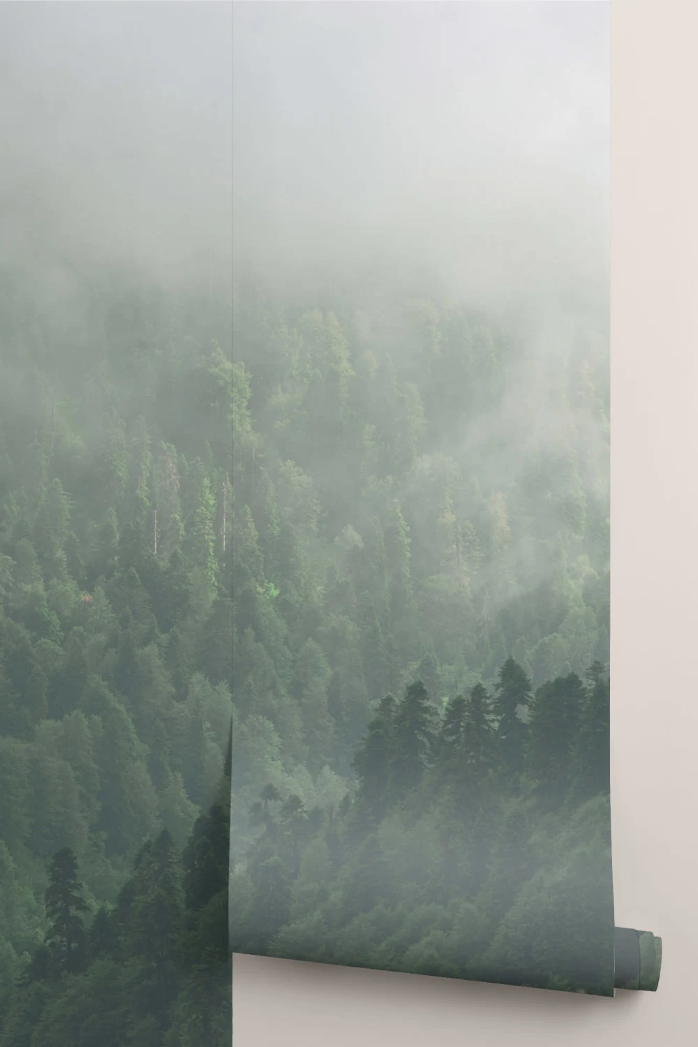 Misty Valley Forest Wallpaper Mural