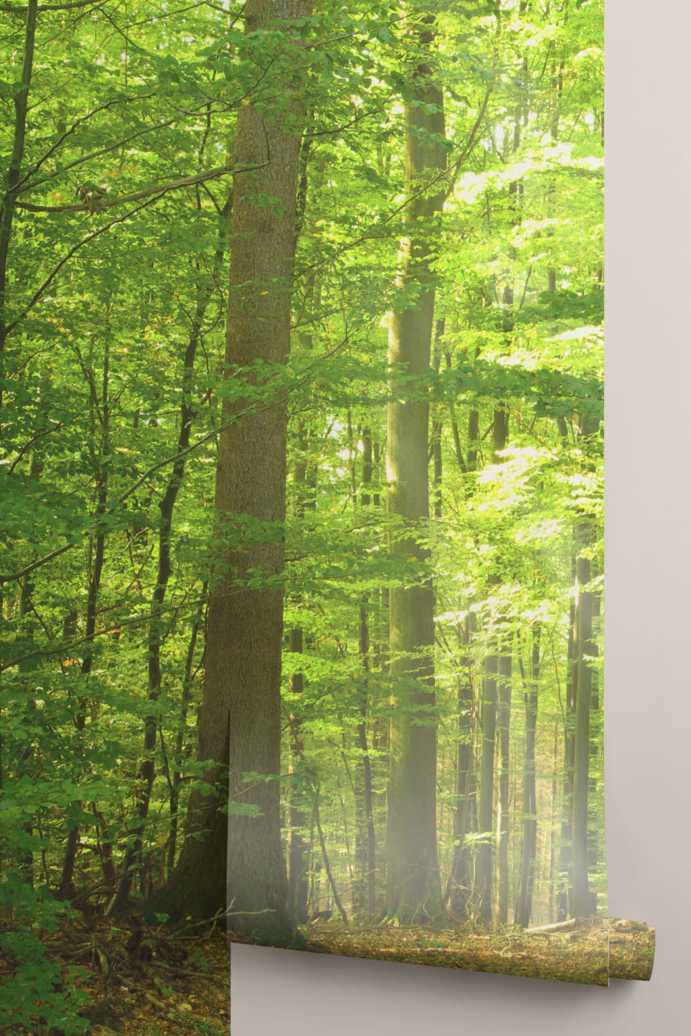 Green Light Forest Wallpaper Mural