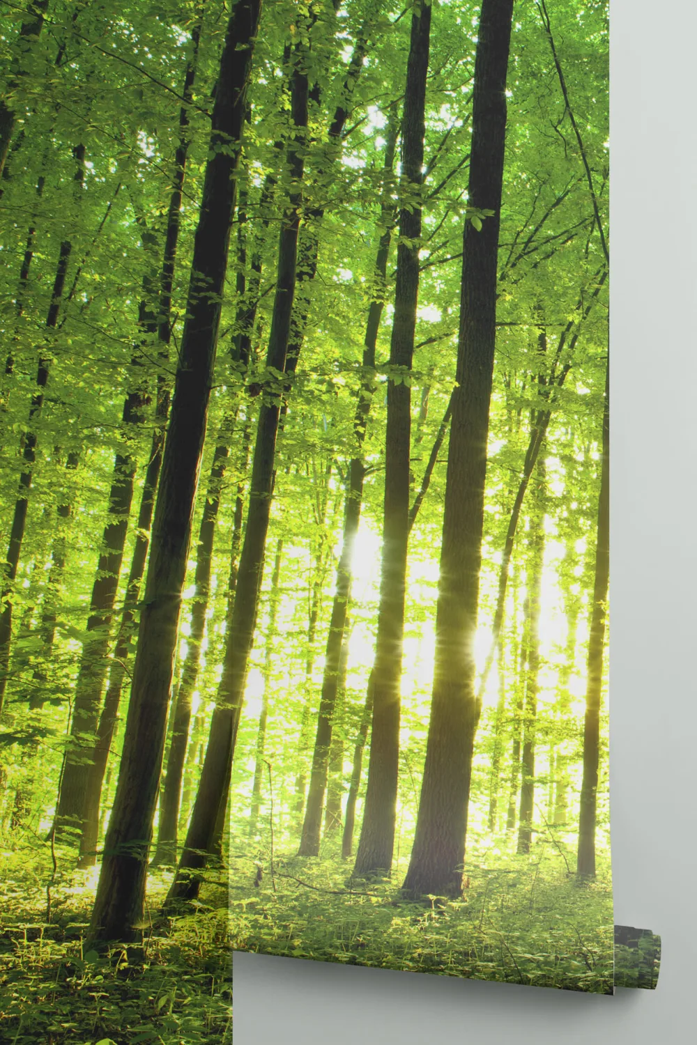 Breaking Light Green Forest Wallpaper Mural