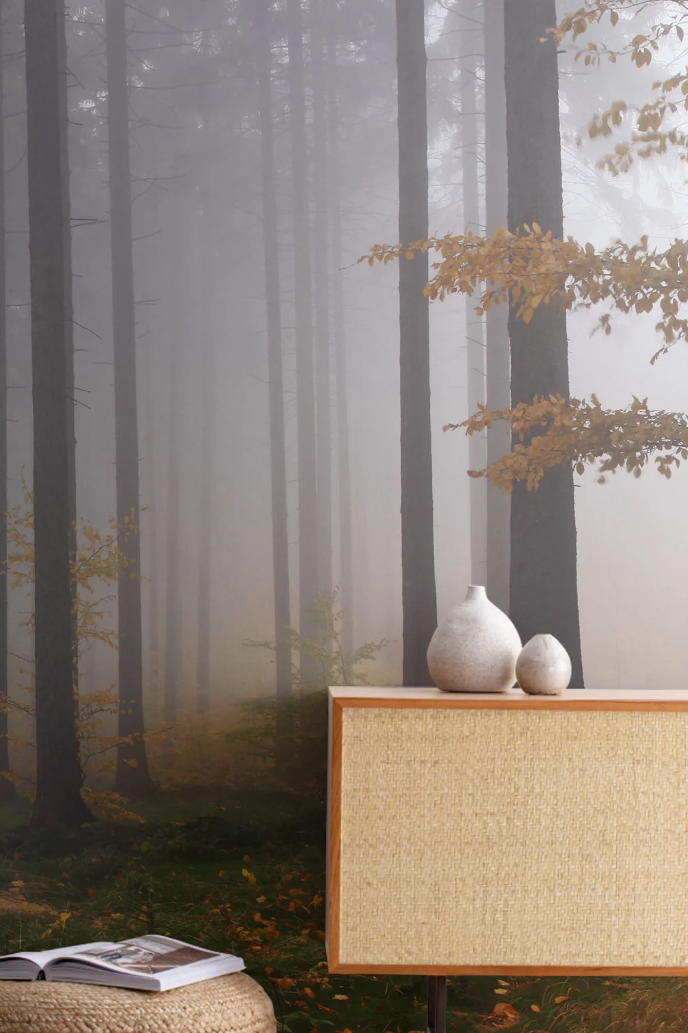 Herfst Mist Bos Behang Muurschildering