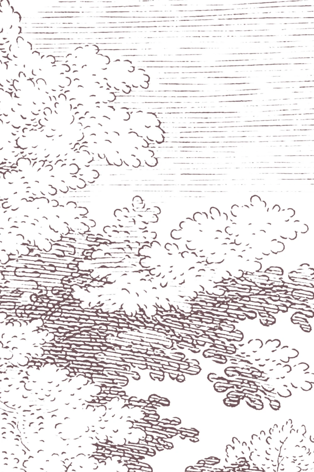 Minimal Grey Forest Illustration Etching Wallpaper Mural