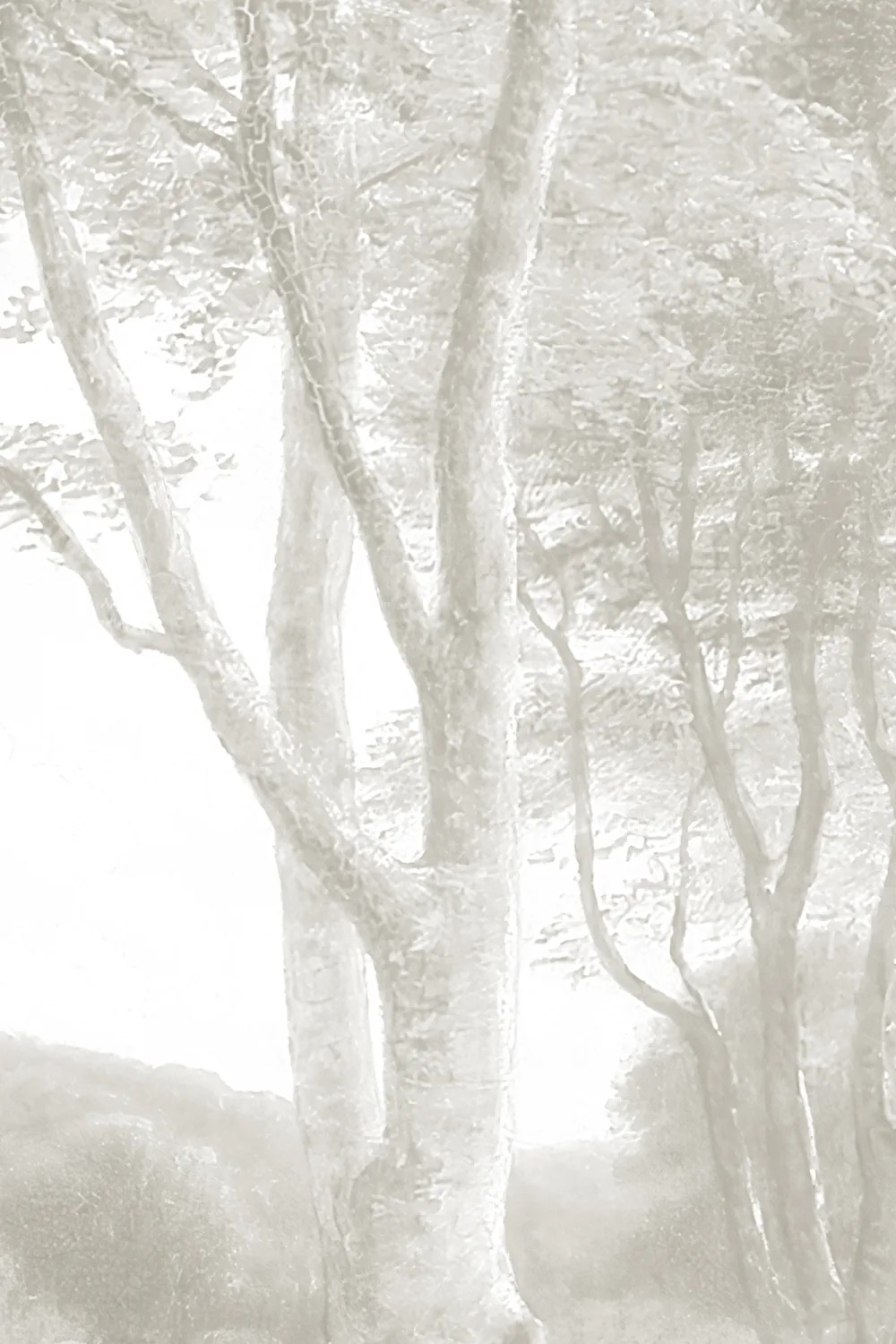 Neutral Forest Landscape Painting Mural