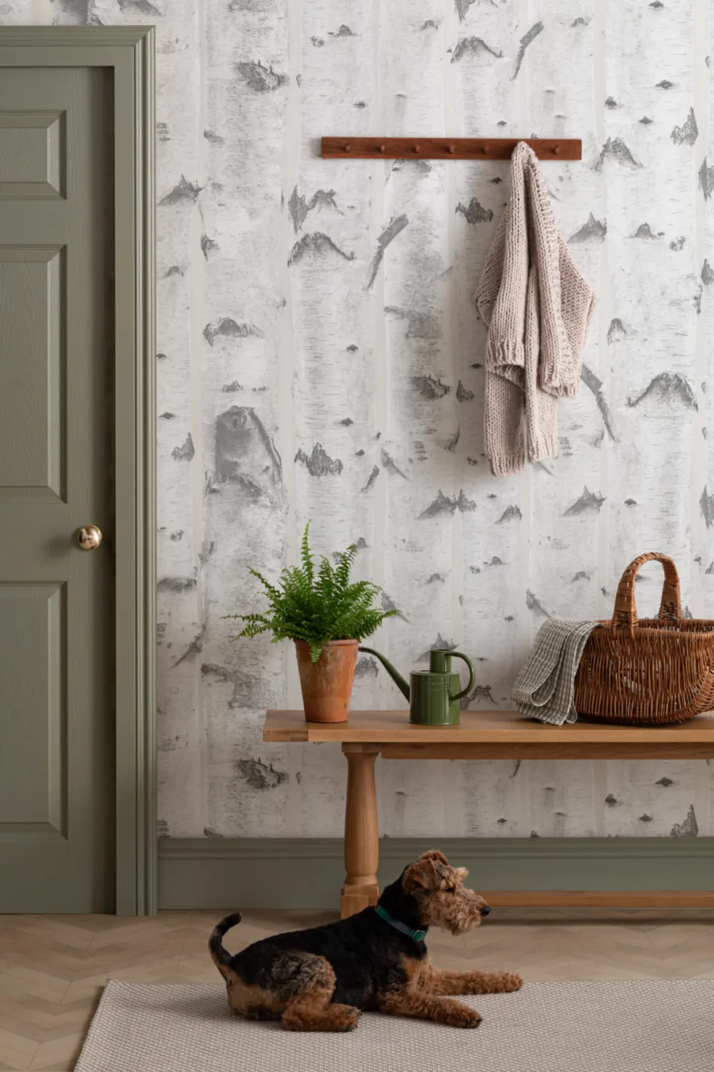 Wit & Crème Berkenboom Patroon Behang Muurschildering