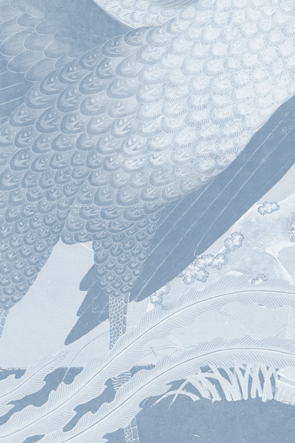 Blue Illustrated Japanese Peacock Mural